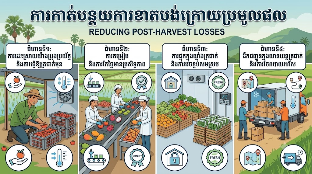 ការកាត់បន្ថយការខាតបង់ក្រោយប្រមូលផល